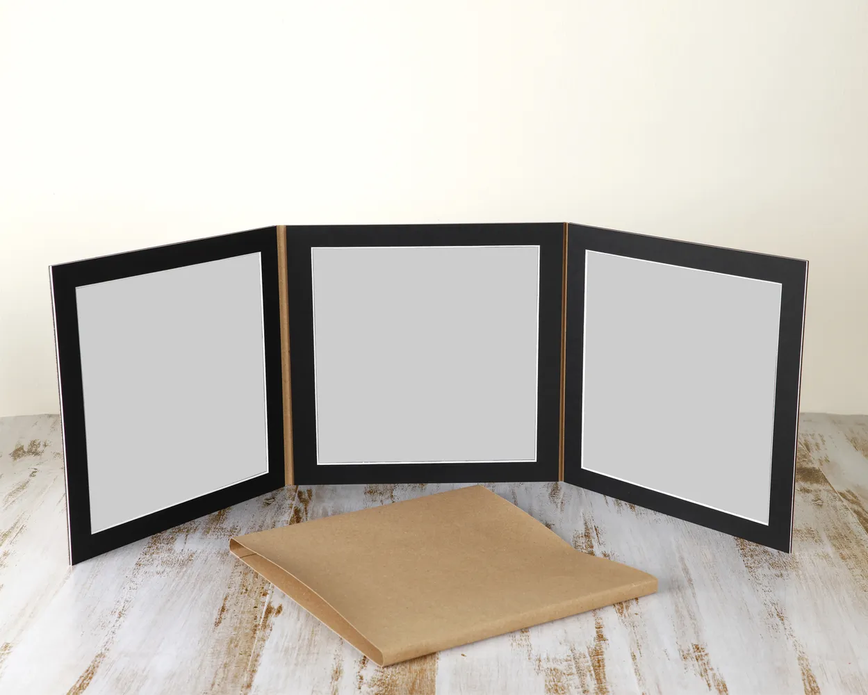 Dípticos Trípticos Cuadrípticos PP (Sin foto)